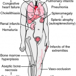 Just how to Write the Investigation Section of My Research Paper