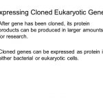 Training consultant suggests racism may be caused by whitepaper in young children